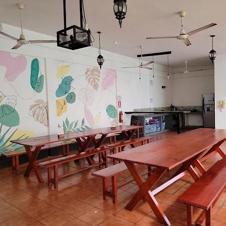 Poco A Poco Hostel León 외부 사진