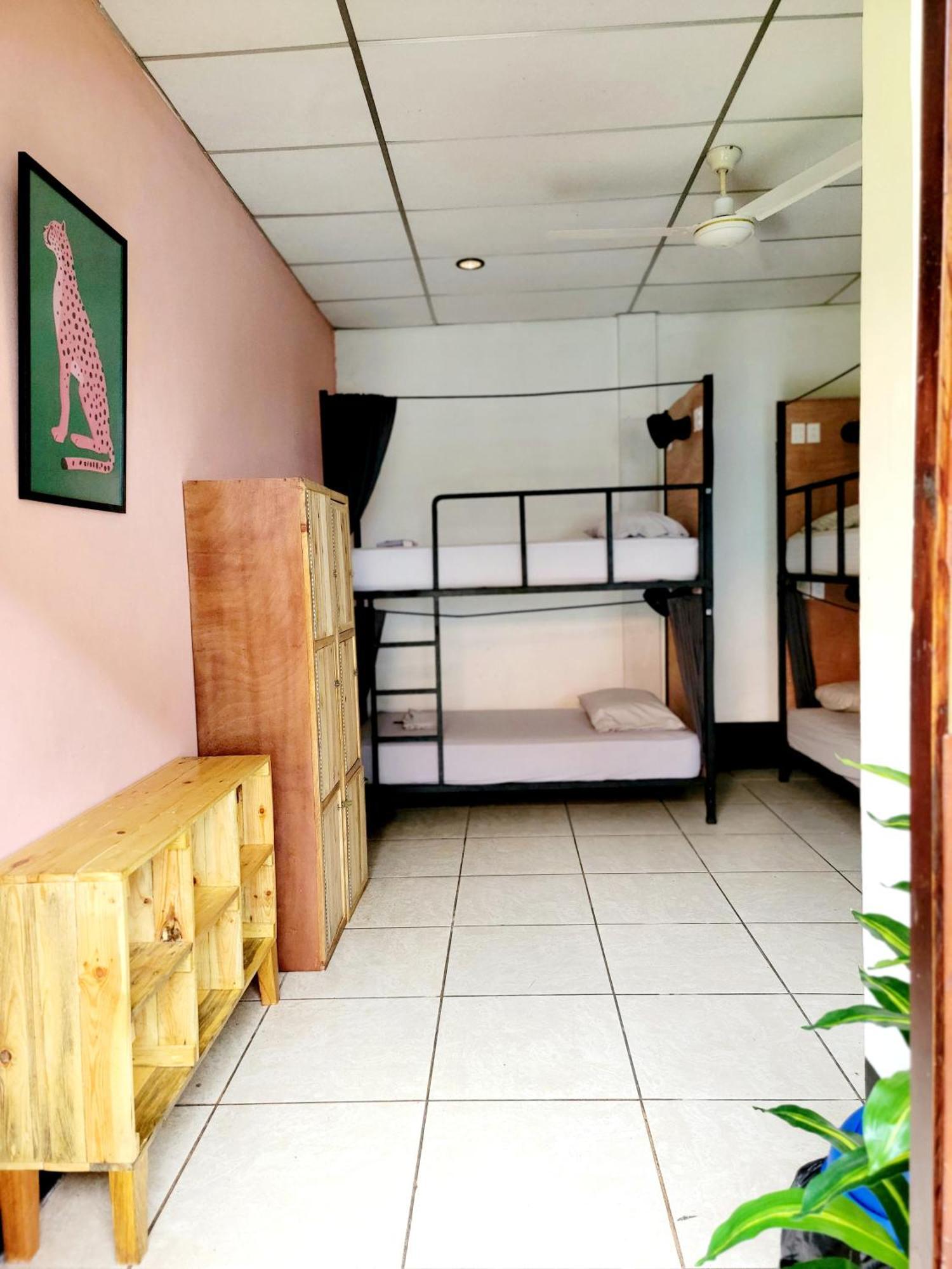 Poco A Poco Hostel León 외부 사진