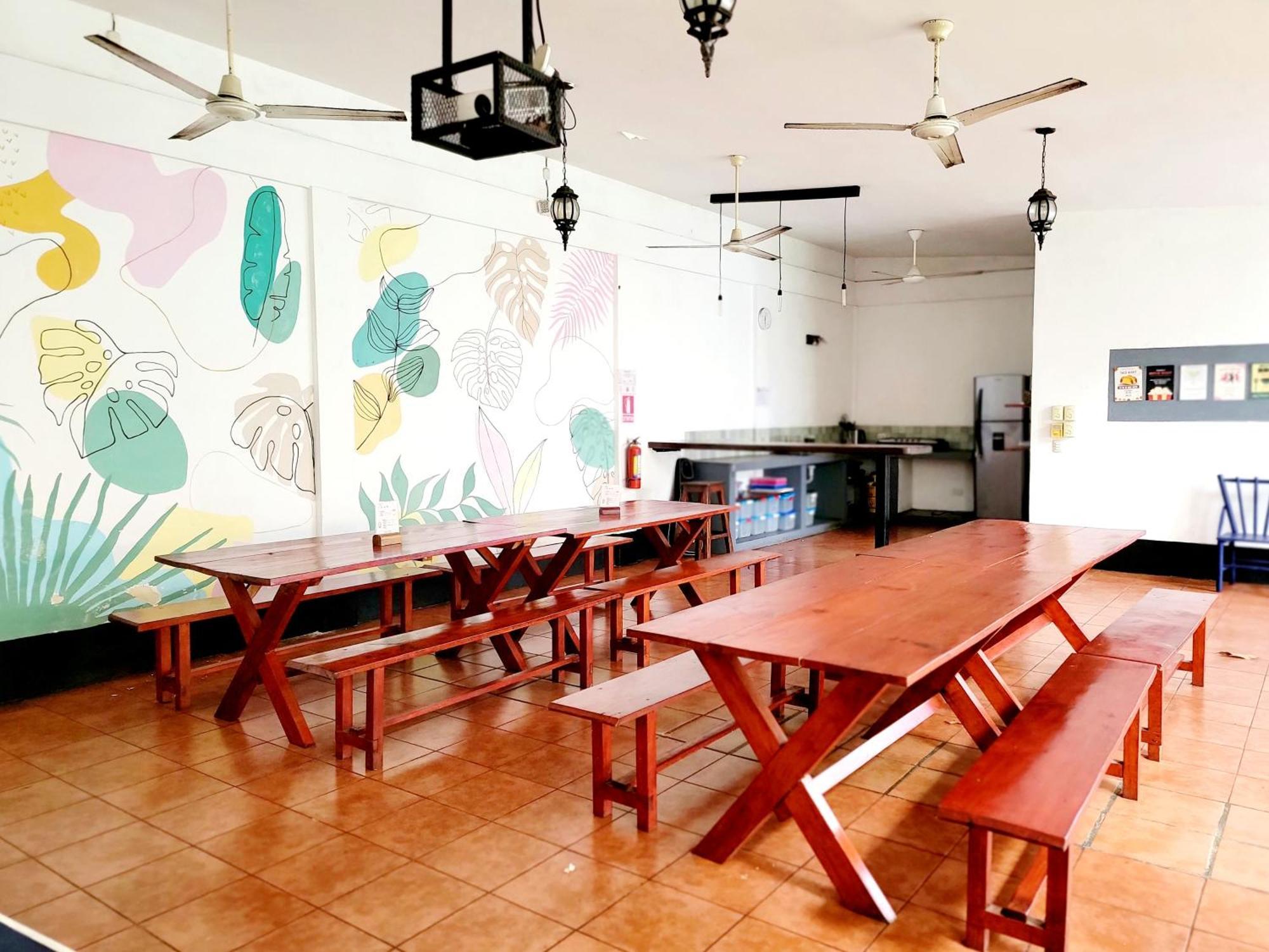 Poco A Poco Hostel León 외부 사진